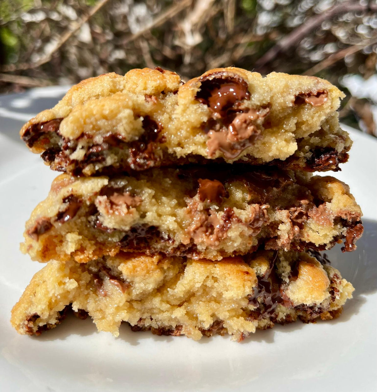 Classic Chocolate Chip