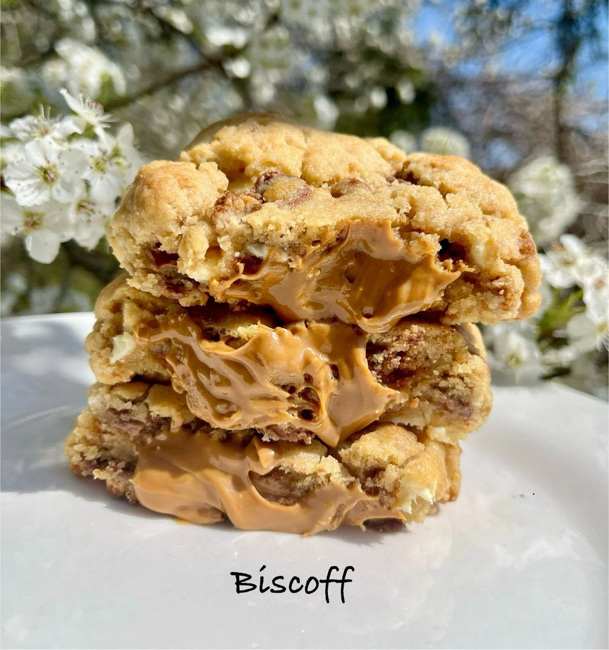 Biscoff gourmet cookie — Euphoric Bakehouse