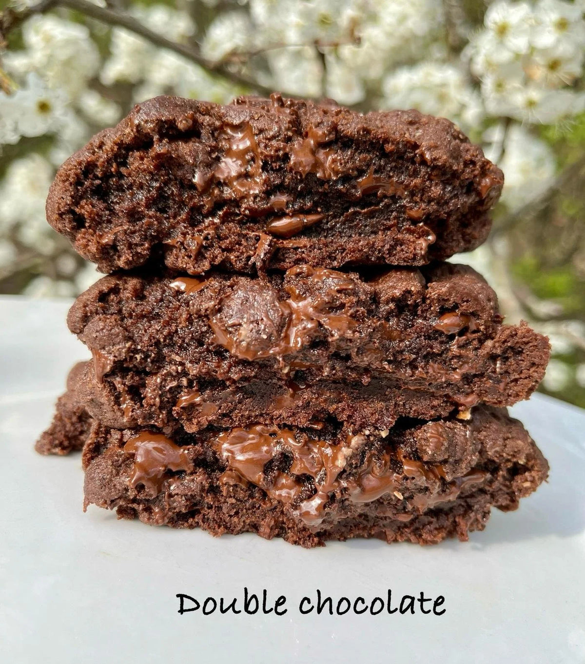 A Double Chocolate cookie