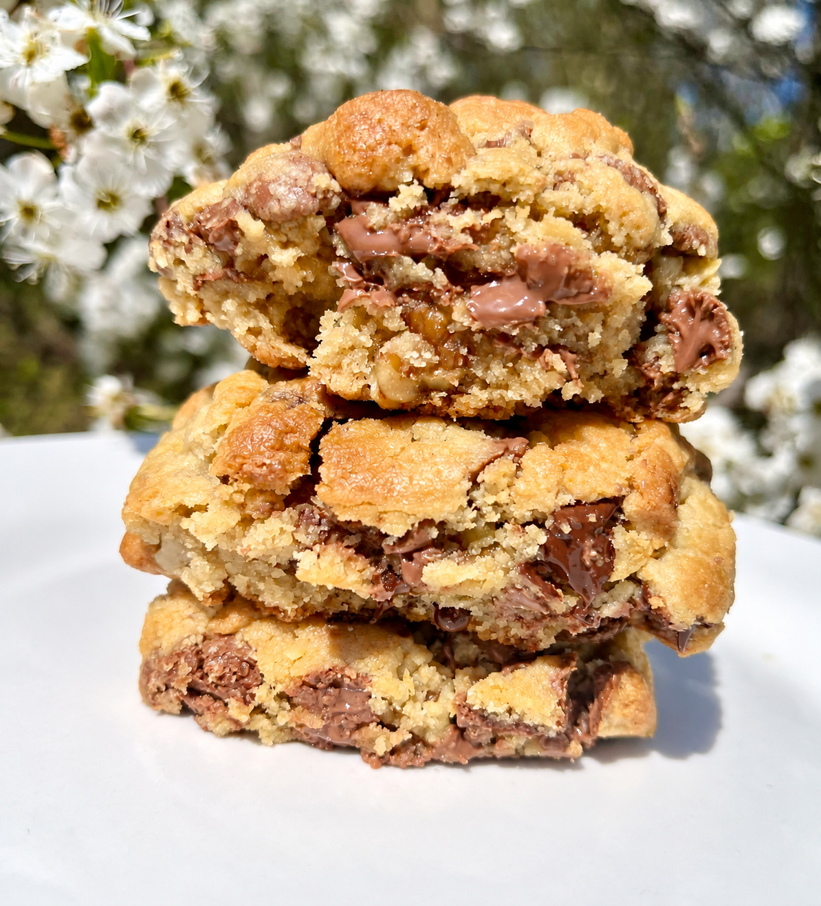 Chocolate Chip Walnut